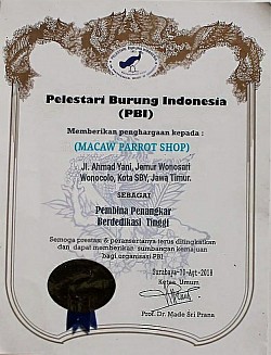 Penangkaran burung kakatua